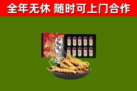 魏都区回收冬虫夏草价格